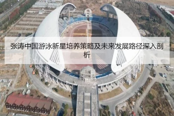 张涛中国游泳新星培养策略及未来发展路径深入剖析